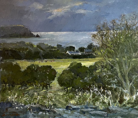 Dinas Head from the Preseli Hills