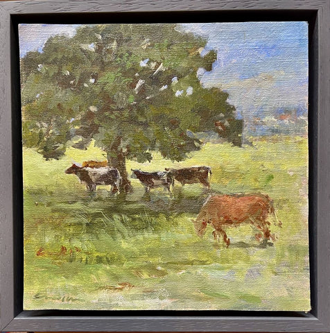 Cows in the Meadow
