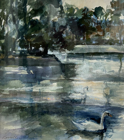 Swans at Oliver's island