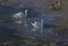 Swans and Geese on the Thames. - from the 'Oils' collection by Jane Corsellis 